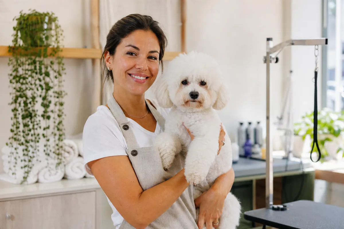 Toiletteuse professionnelle souriante tenant un petit bichon frise dans son salon lumineux